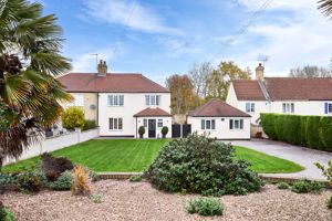 Photo 41- click for photo gallery